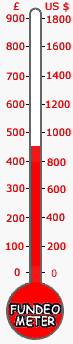 Step 4: Funds raised