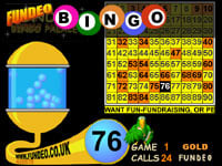 Bingo Night DVD fundraising ideas