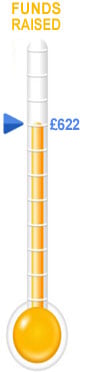 Step 4: Funds raised