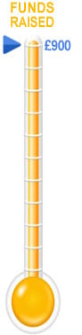 Step 3: Funds raised